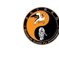 Shaolin Gym Kung Fu