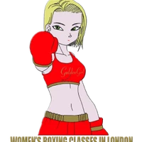 London Boxing Training