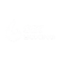 The Six Boxing