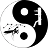 Traditional Kungfu Cannock