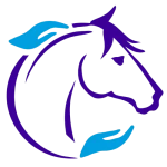 Equine Miracle