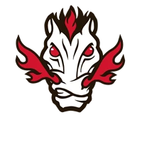 Hockey l'Ancienne-Lorette
