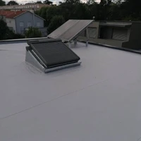 Etancheur du Lyonnais nettoyage demoussage toiture sud lyonnais
