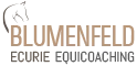 Ecurie Blumenfeld