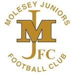 Molesey Juniors F.C