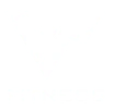 VF Fitness