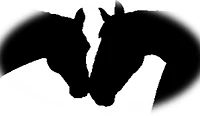 Burton Grange Equestrian