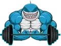 Muscle Shark Fitness
