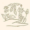 Travel Sonore Et Yoga À Labège