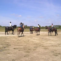 Stables Saint-Martin