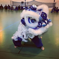 Vo Vietnam Lyon - Martial Arts Vietnamiens