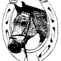South Derbyshire Saddle Club