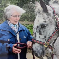 Tower Farm Riding Stables