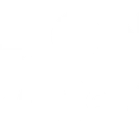 Lion Yoga