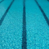 Mauro Swim Team