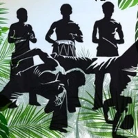 Association Capoeira Valence
