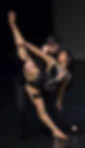 Elite Latin Dance