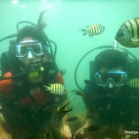 Scuba Diving in Malvan - Morya Water sports