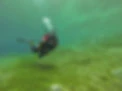 Learn Scuba Diving London
