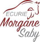Ecurie Morgane Saby Centre Équestre, Valorisation, Poney Club, Pensions Et Balades À Cheval