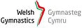 Bedwas Gymnastics Club