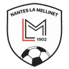 The Mellinet Football