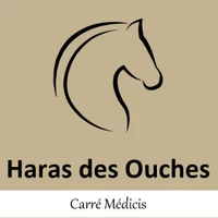 Le Haras Des Ouches, Equestrian Center Carré Médicis