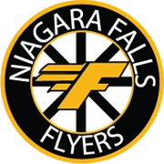 Niagara Falls Minor Hockey Association
