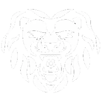LionHeart Football