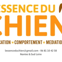 Éducateur canin - L'Essence du chien