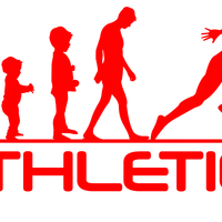 The Athlete Academy