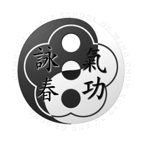 Combined Arts Wing Chun Kung Fu and Qigong Martial Arts School