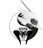 Wing Gym