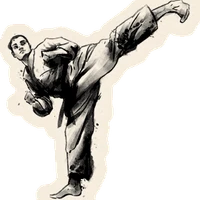 Kokkikan Dojo