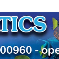 Angel Aquatics