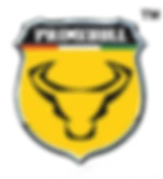Primebull Auto India Private Limited