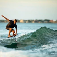 Aloha Wake School