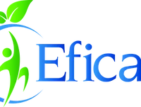 C Eficas