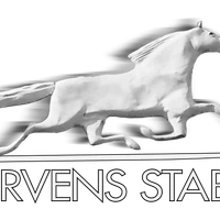 Marvens Riding School & Livery Yard