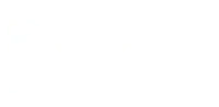 Box Lively