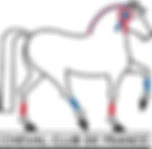 EQUITATION ST GEORGES D'ORQUES