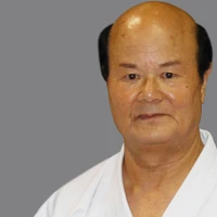 Goshin Isshinryu Karate Association