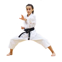 Tairyoku Shotokan Karate Club