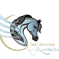 LES ECURIES D'ARMANI