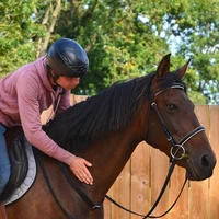 Stables Ar Koed Aour