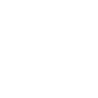 Common Ground Omokoroa