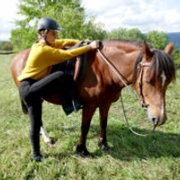 Cavalerie De La Petite Montagne - Juracheval