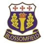 Solihull Blossomfield Hockey Club