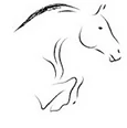 Bensons Sporthorses