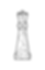 Delhi Chess Association